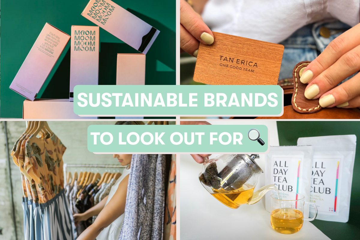 sustainable brands to look out for