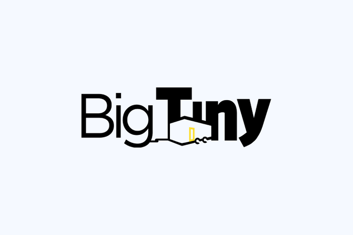 Big Tiny Group Logo