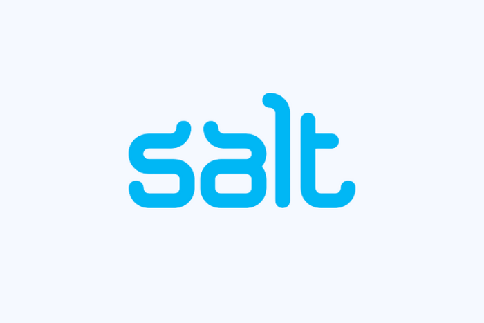 Salt Recruitment Agency Logo