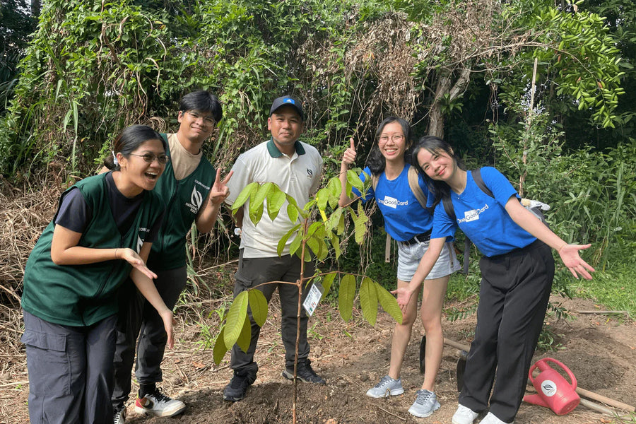 CSR Activities in Singapore: We Planted a Tree for Sustainability
