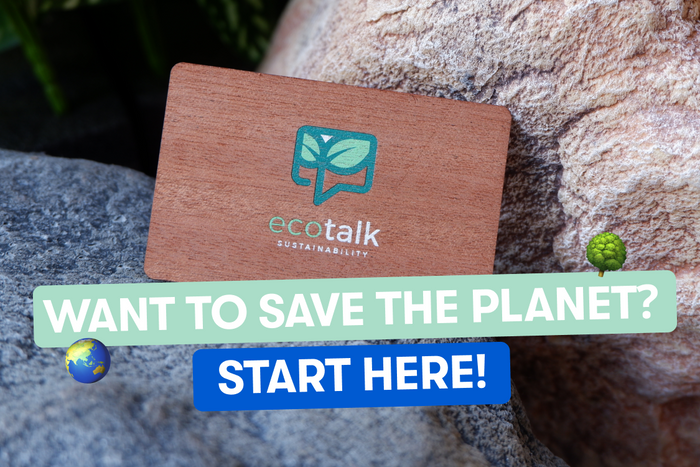 The Real Cost of Ignoring Sustainability—Can We Afford It?