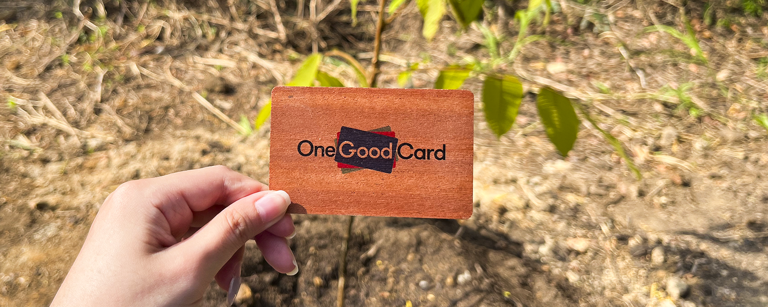 Wooden One Good Card held beside a newly planted tree to represent sustainable networking