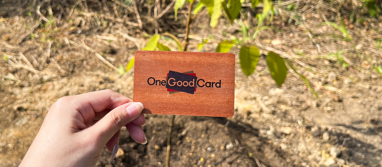One Good Card wooden NFC business card made from real wood for sustainable corporate gifting